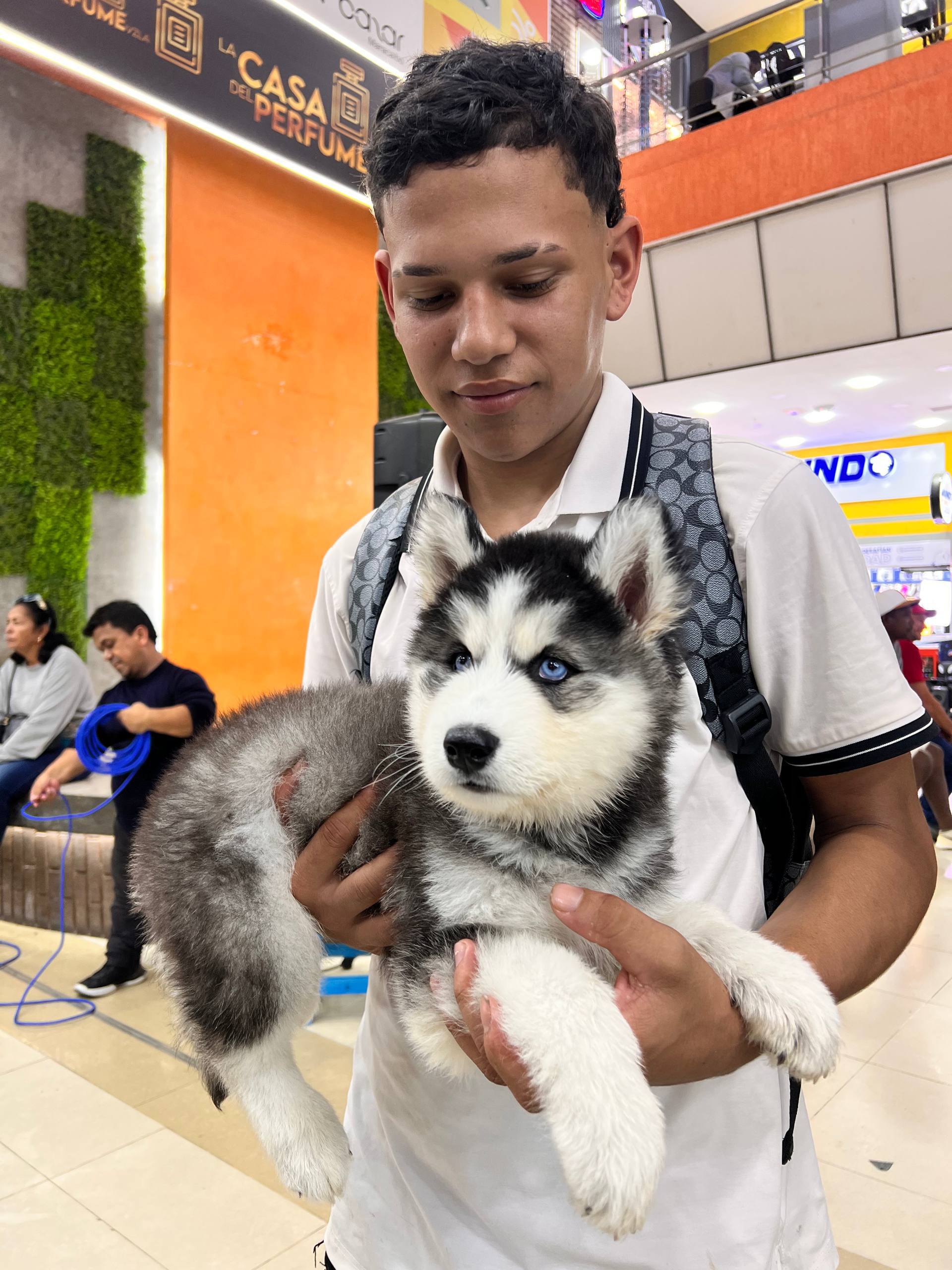 Avatar Cliente Ana R.