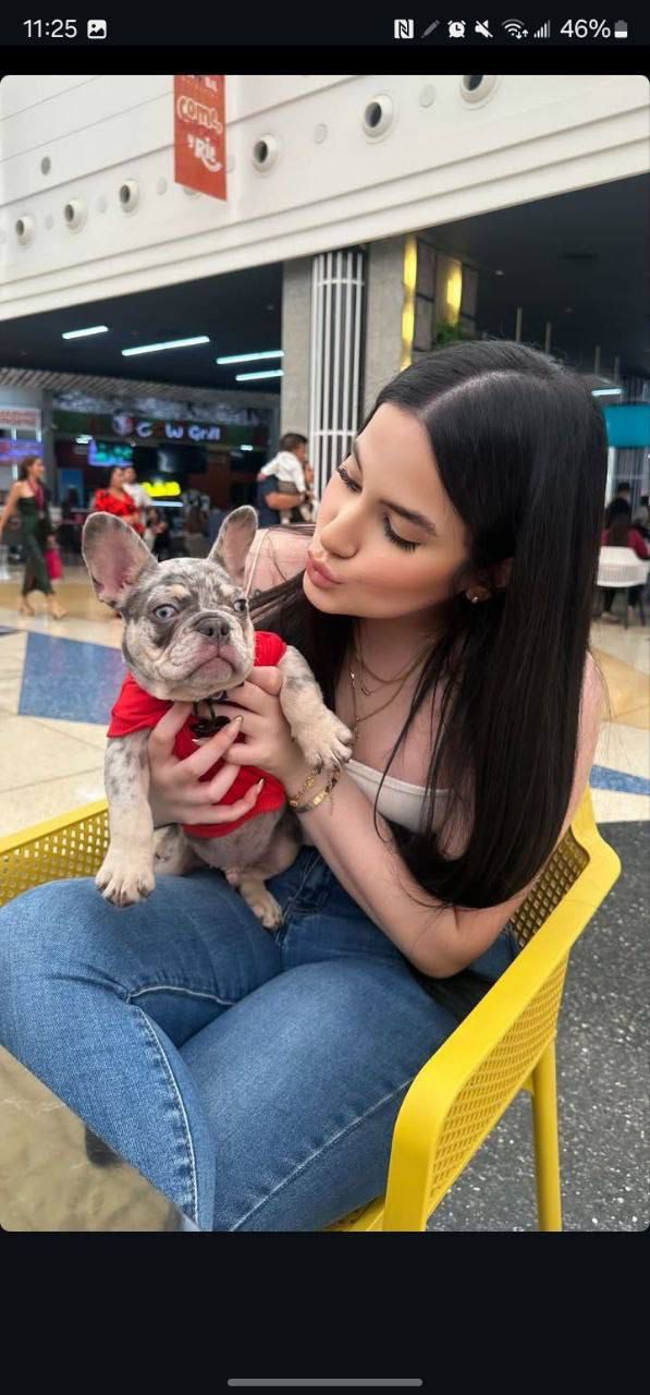 Avatar Cliente Marco L.